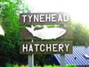Tynehead Hatchery (16585 96 Ave, Surrey, BC)