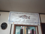 Tynehead Hatchery
